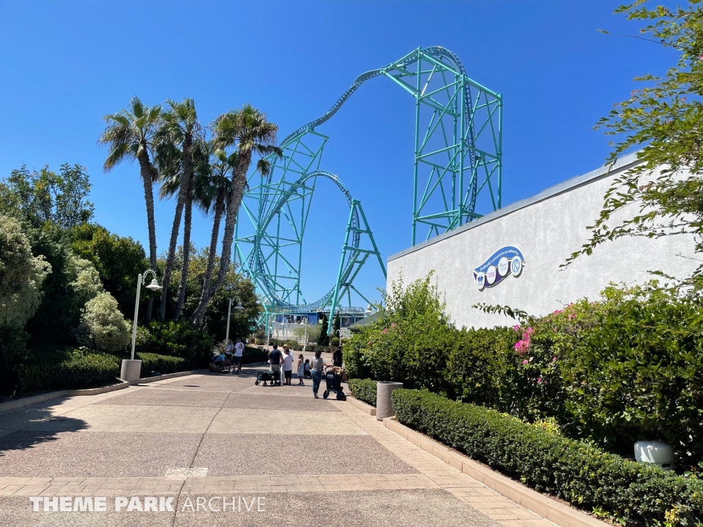 Electric Eel at SeaWorld San Diego