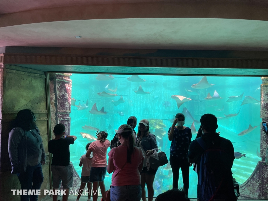 Journey to Atlantis at SeaWorld San Diego