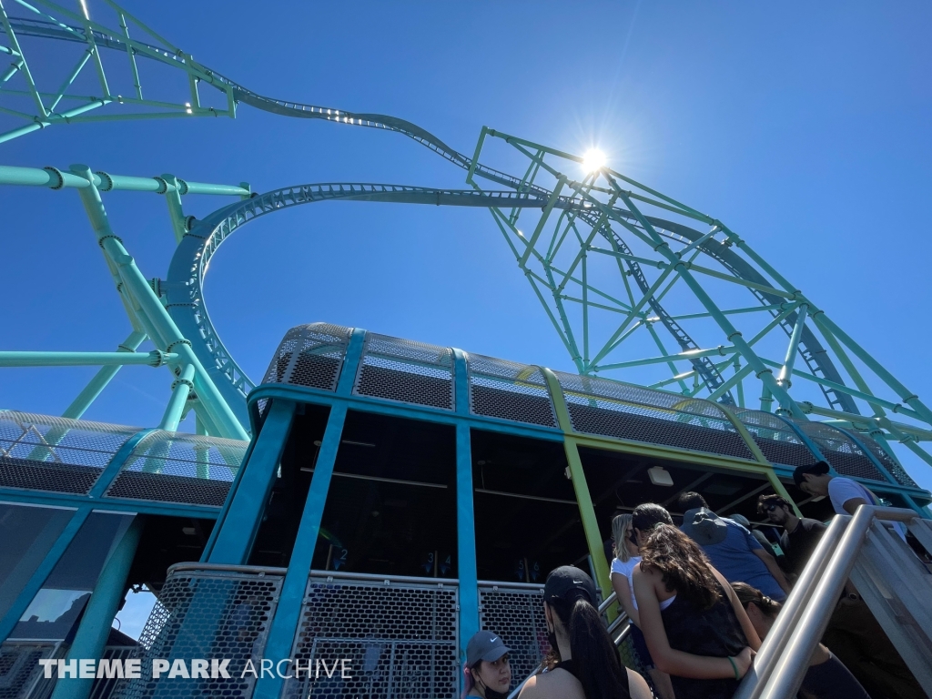 Electric Eel at SeaWorld San Diego