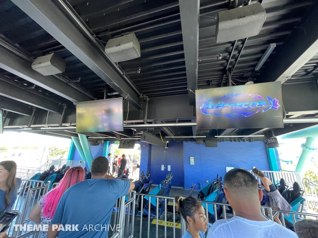 Electric Eel at SeaWorld San Diego