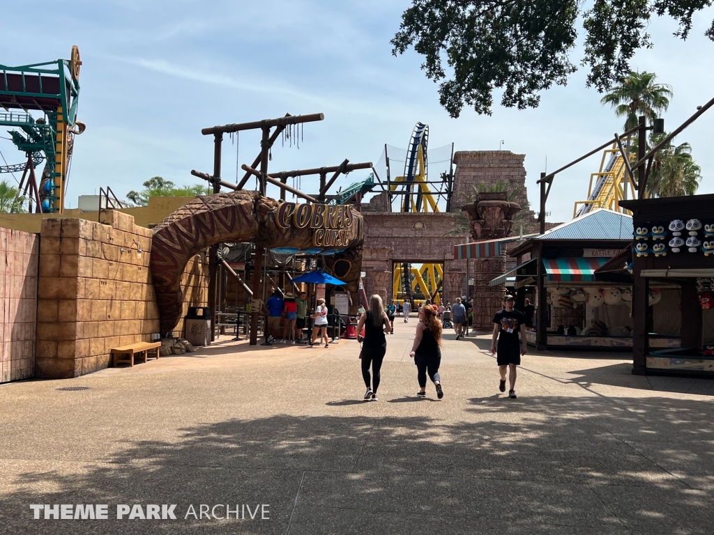 Cobra's Curse at Busch Gardens Tampa