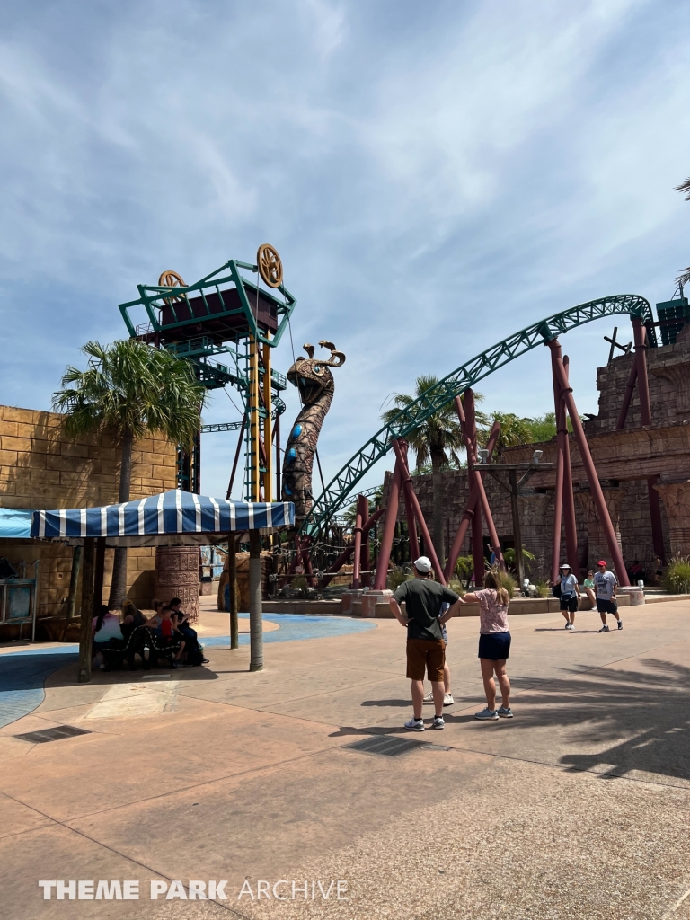 Cobra's Curse at Busch Gardens Tampa