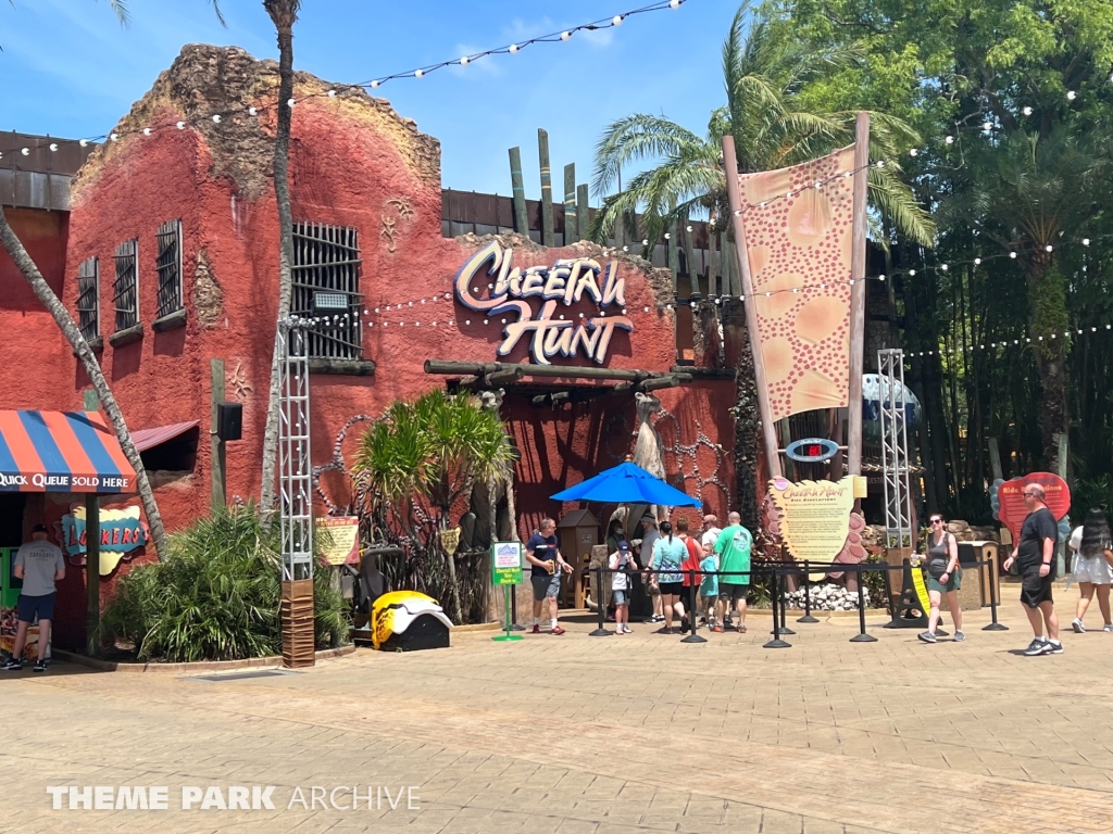 Cheetah Hunt at Busch Gardens Tampa