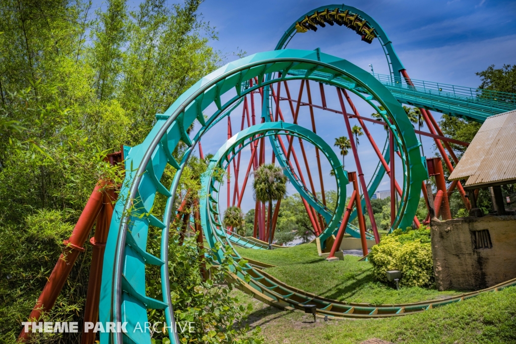 Kumba at Busch Gardens Tampa