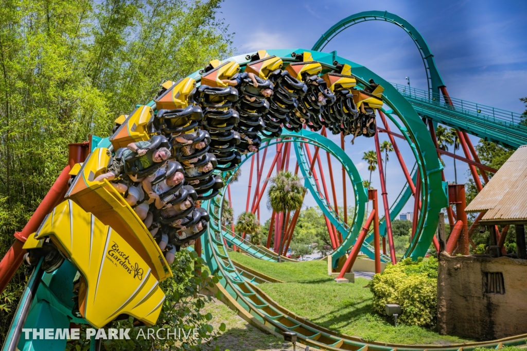 Kumba at Busch Gardens Tampa