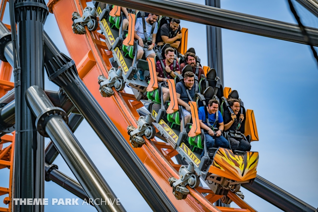 Tigris at Busch Gardens Tampa