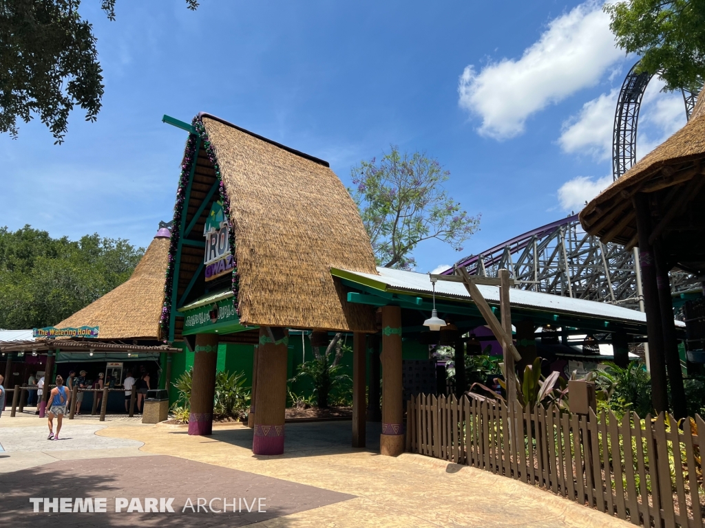 Iron Gwazi at Busch Gardens Tampa