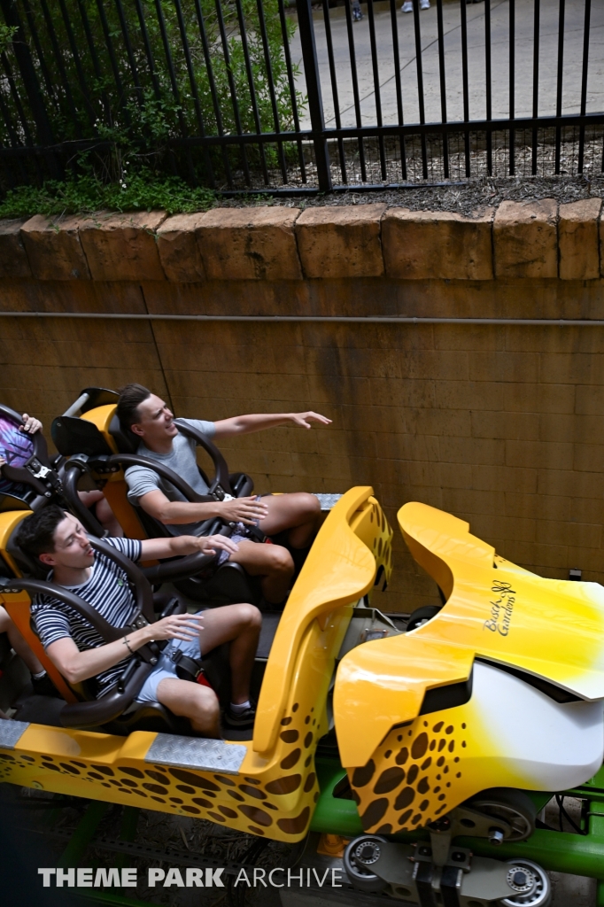 Cheetah Hunt at Busch Gardens Tampa