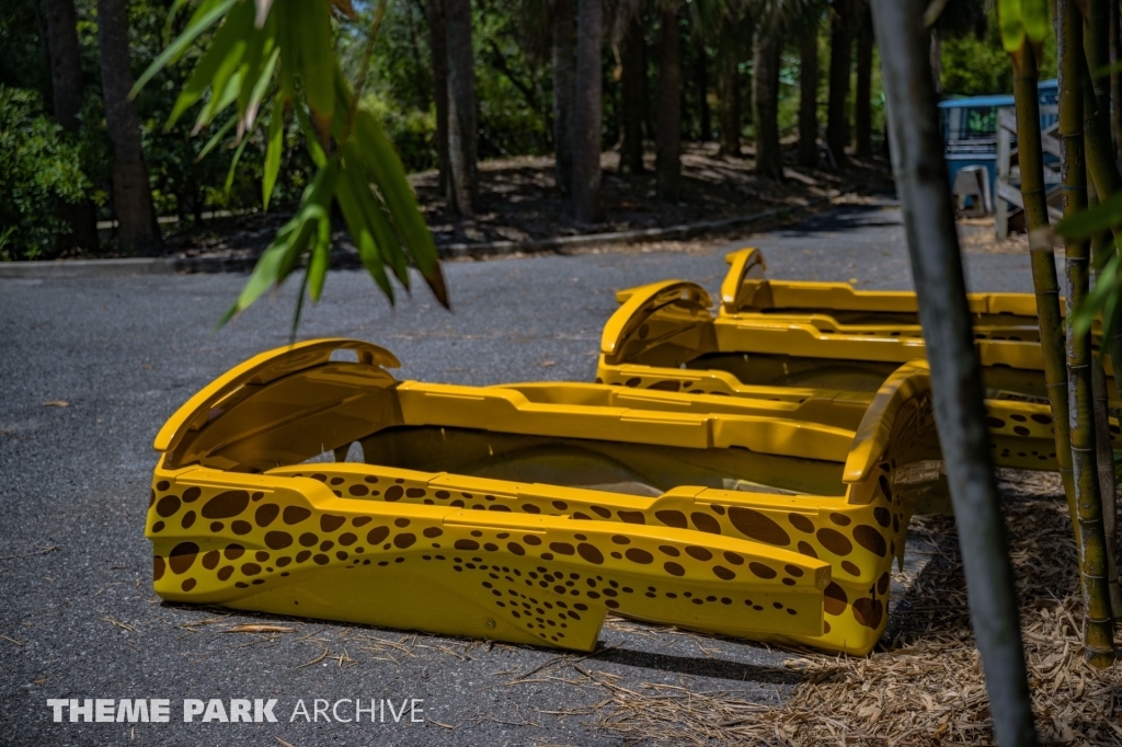 Cheetah Hunt at Busch Gardens Tampa