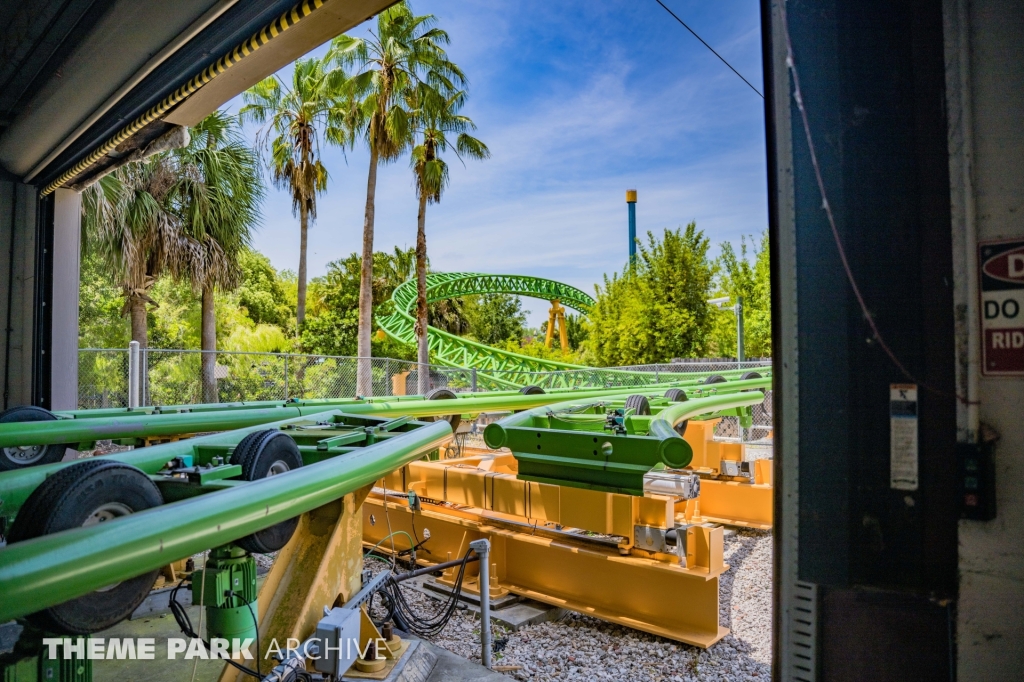 Cheetah Hunt at Busch Gardens Tampa