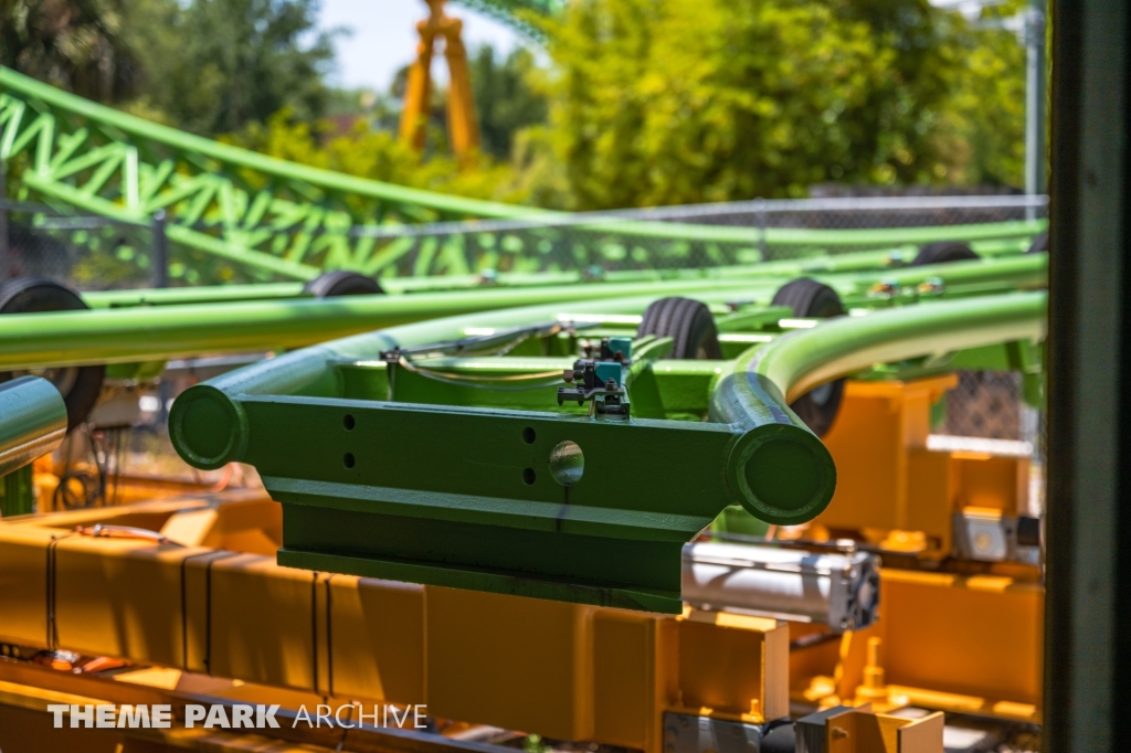 Cheetah Hunt at Busch Gardens Tampa