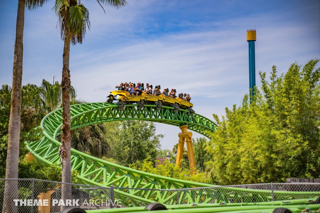 Cheetah Hunt at Busch Gardens Tampa