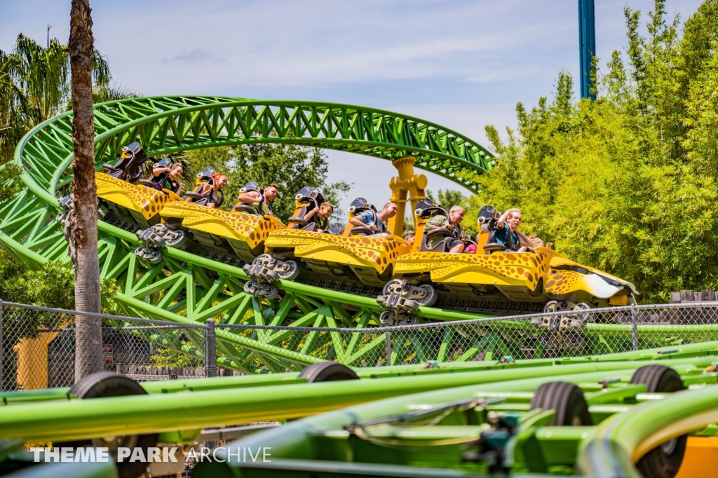 Cheetah Hunt at Busch Gardens Tampa