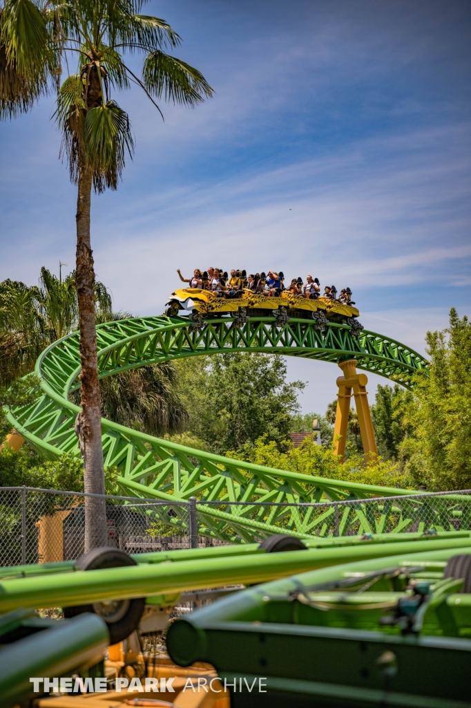 Cheetah Hunt at Busch Gardens Tampa