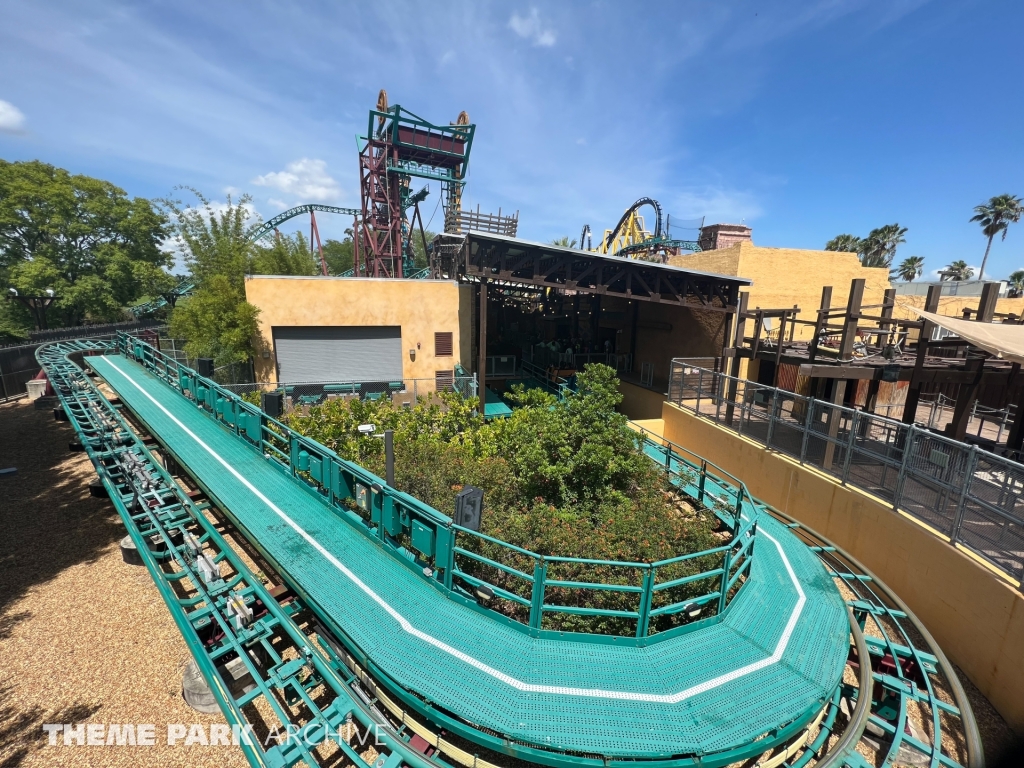 Cobra's Curse at Busch Gardens Tampa