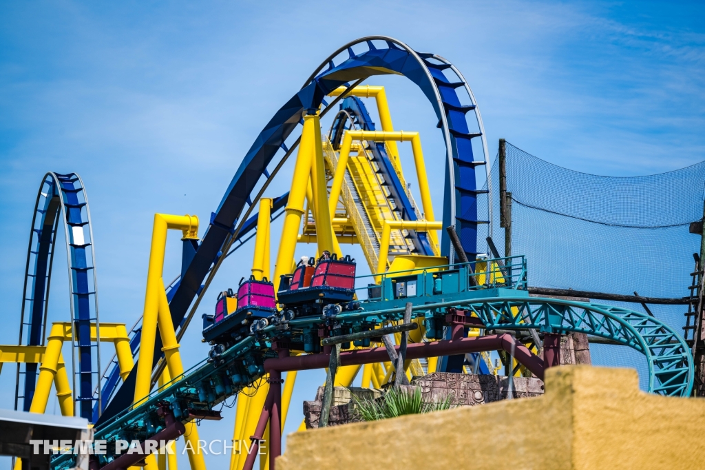 Cobra's Curse at Busch Gardens Tampa