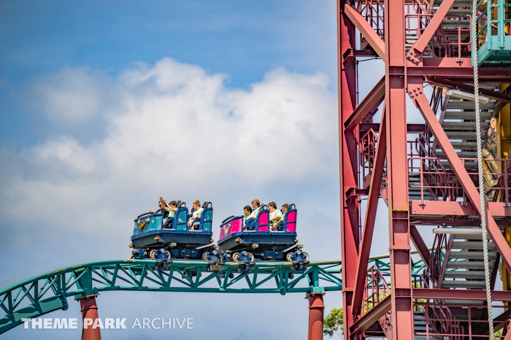 Cobra's Curse at Busch Gardens Tampa