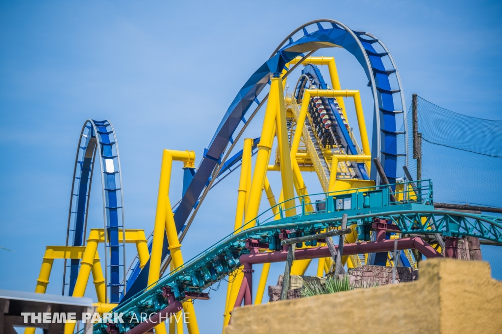 Montu at Busch Gardens Tampa