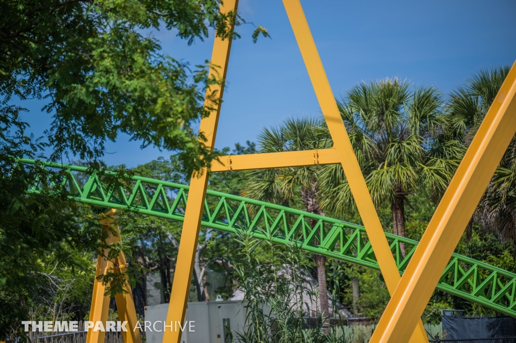 Cheetah Hunt at Busch Gardens Tampa