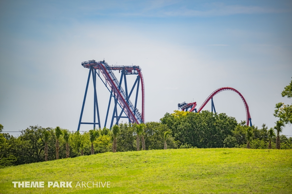 Sheikra at Busch Gardens Tampa