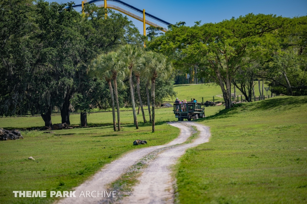 Serengeti Plain at Busch Gardens Tampa