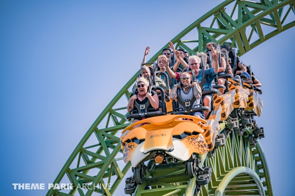 Cheetah Hunt at Busch Gardens Tampa