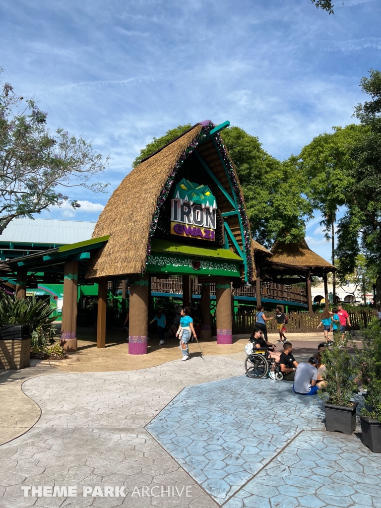 Iron Gwazi at Busch Gardens Tampa