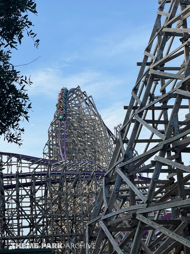 Iron Gwazi at Busch Gardens Tampa