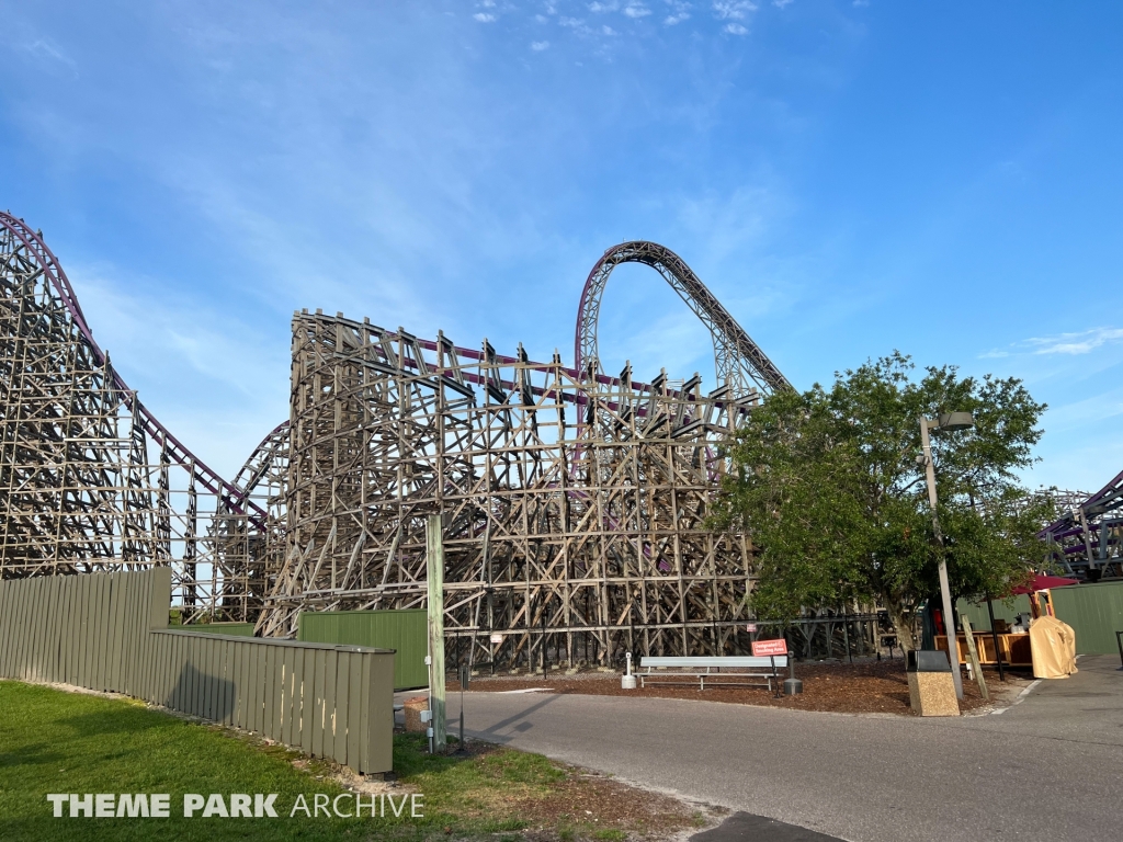 Iron Gwazi at Busch Gardens Tampa