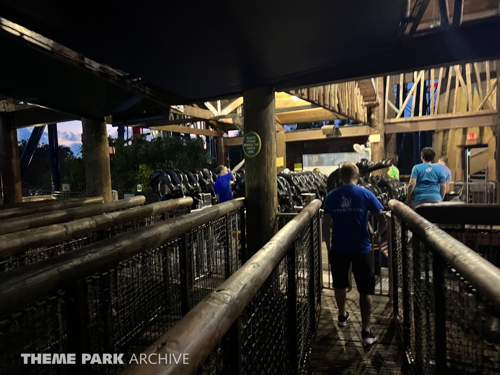 Sheikra at Busch Gardens Tampa