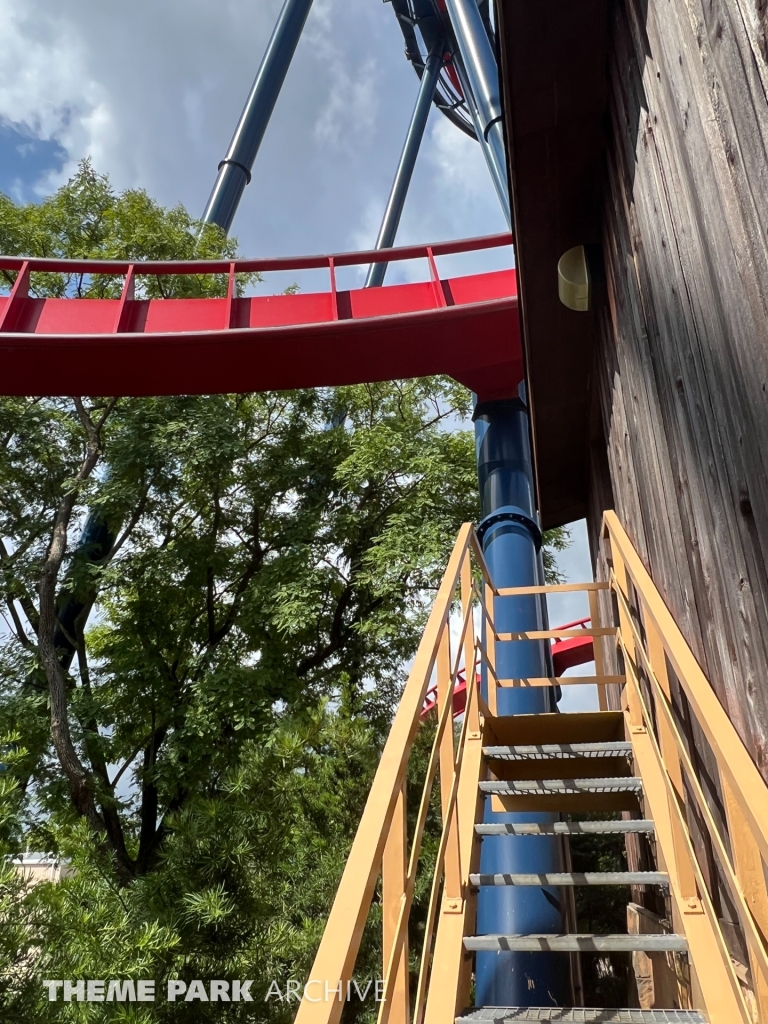 Sheikra at Busch Gardens Tampa