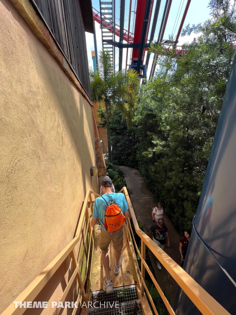 Sheikra at Busch Gardens Tampa