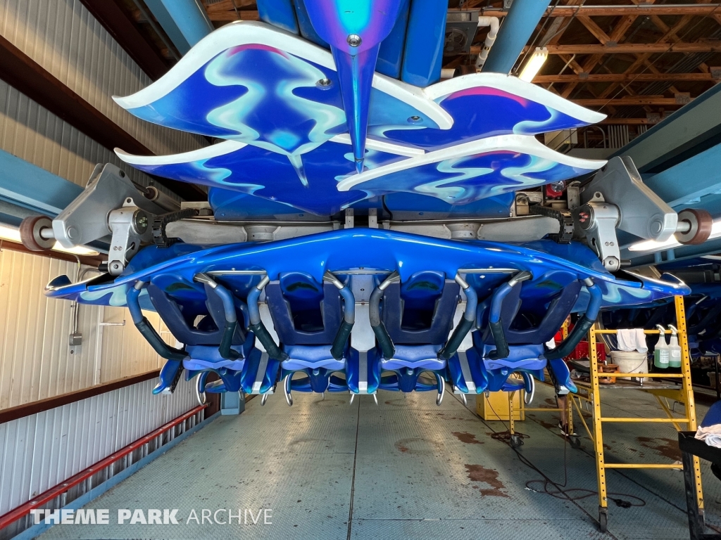 Manta at SeaWorld Orlando