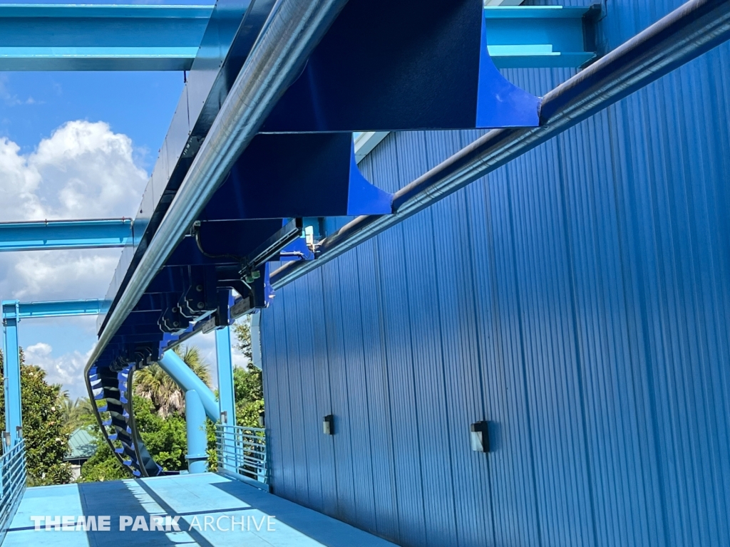 Manta at SeaWorld Orlando