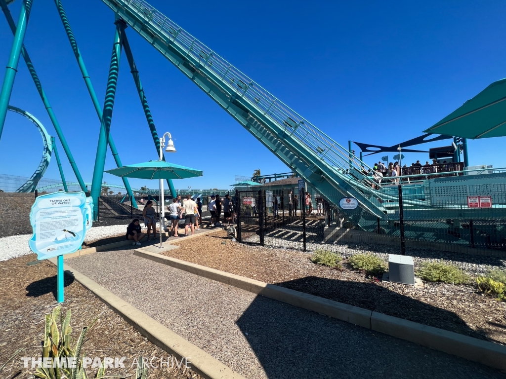 Emperor at SeaWorld San Diego