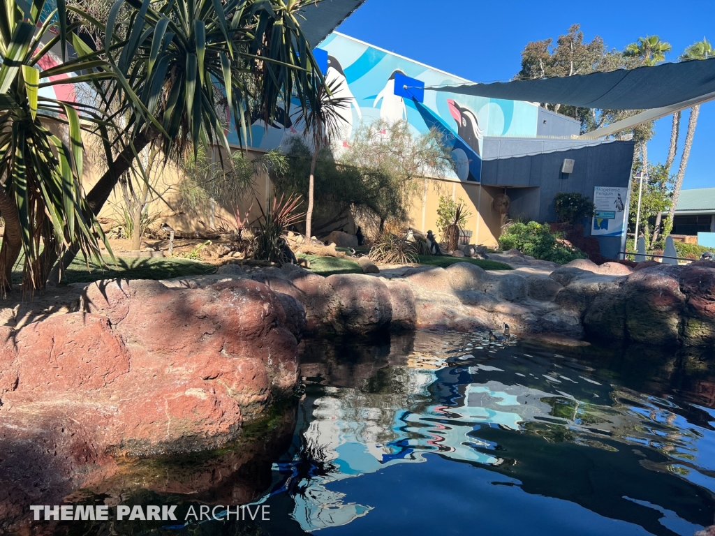 Penguin Encounter at SeaWorld San Diego