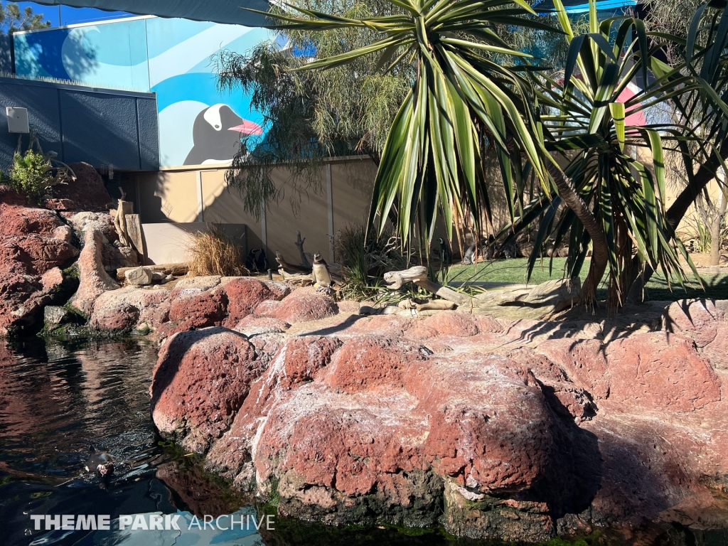 Penguin Encounter at SeaWorld San Diego