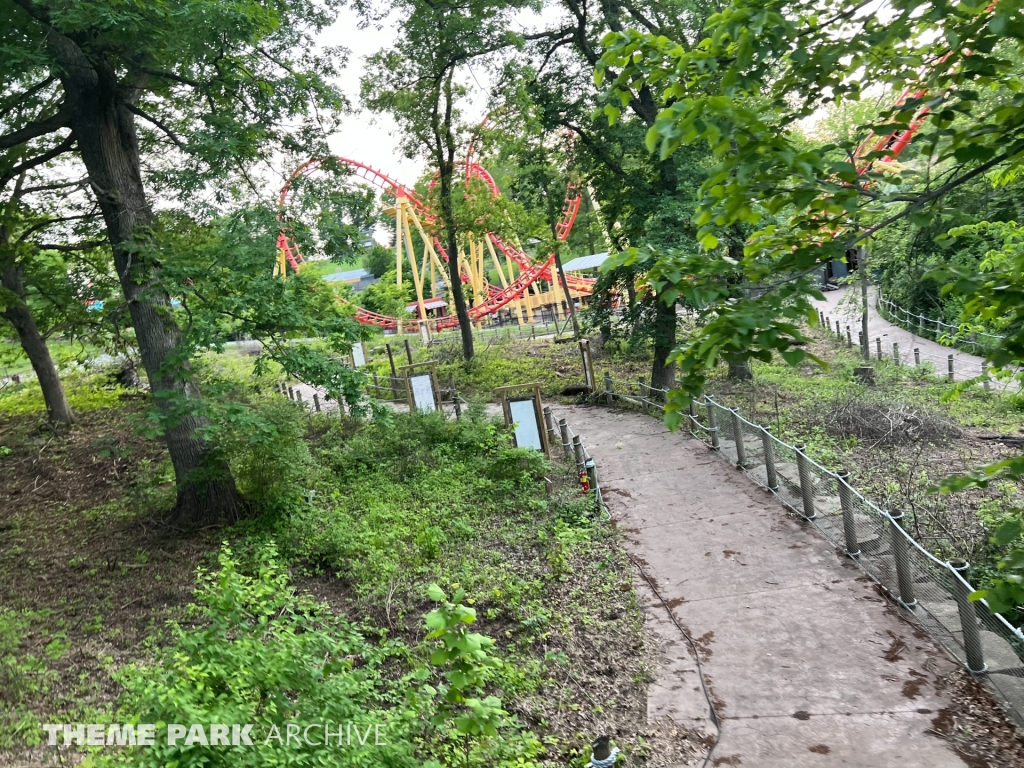 Zambezi Zinger at Worlds of Fun