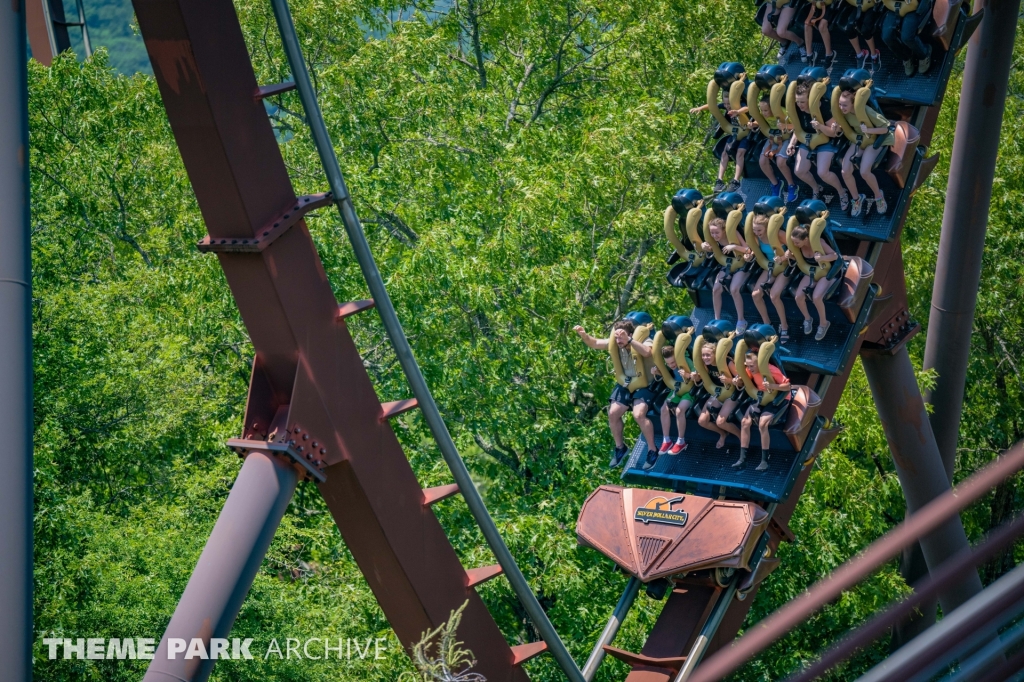 Wildfire at Silver Dollar City