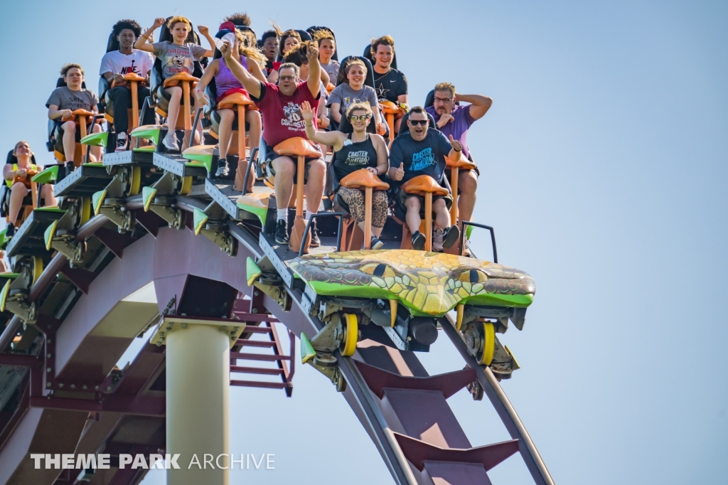 Diamondback at Kings Island