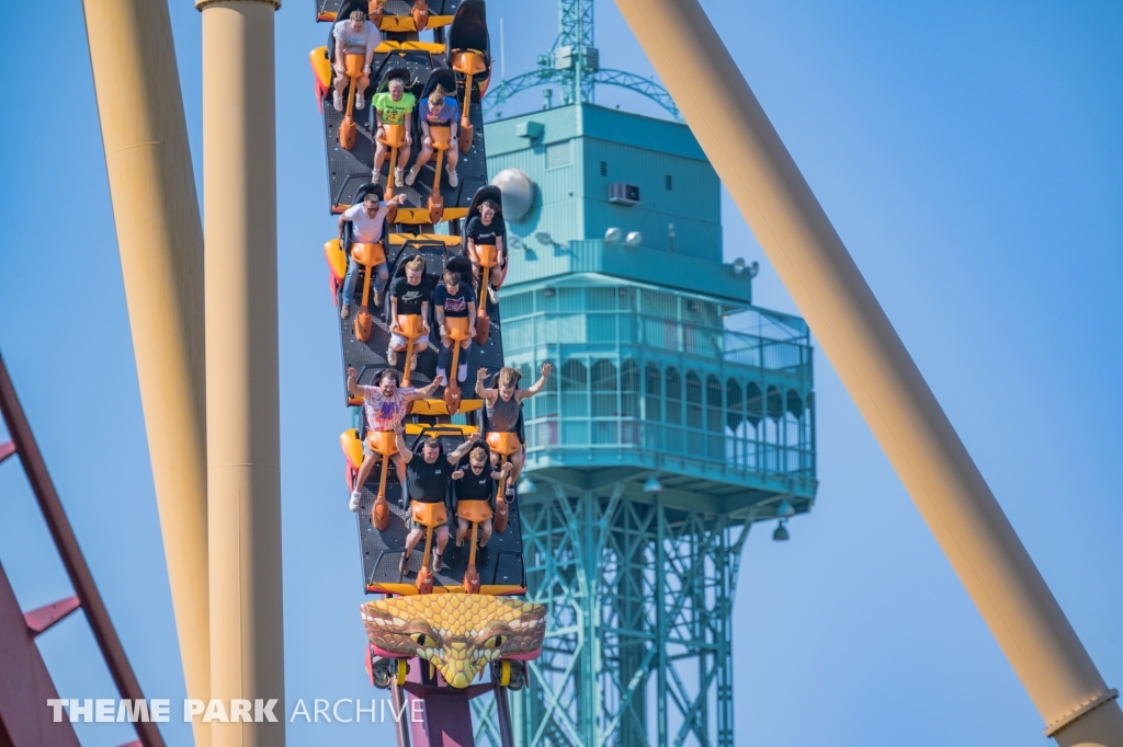 Diamondback at Kings Island