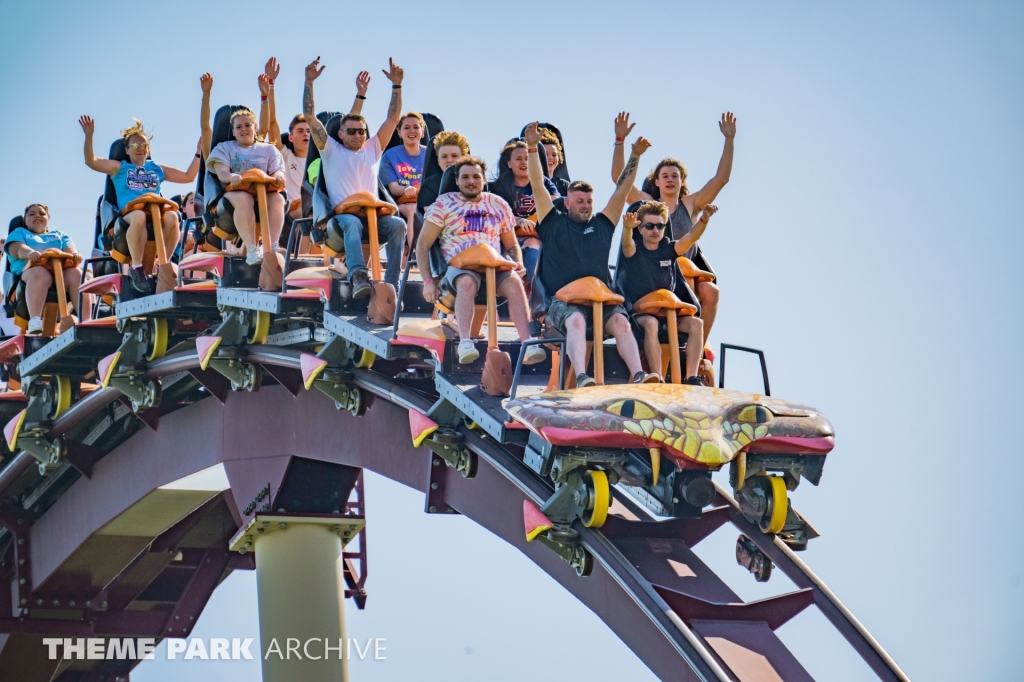 Diamondback at Kings Island