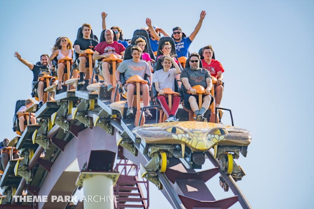 Diamondback at Kings Island