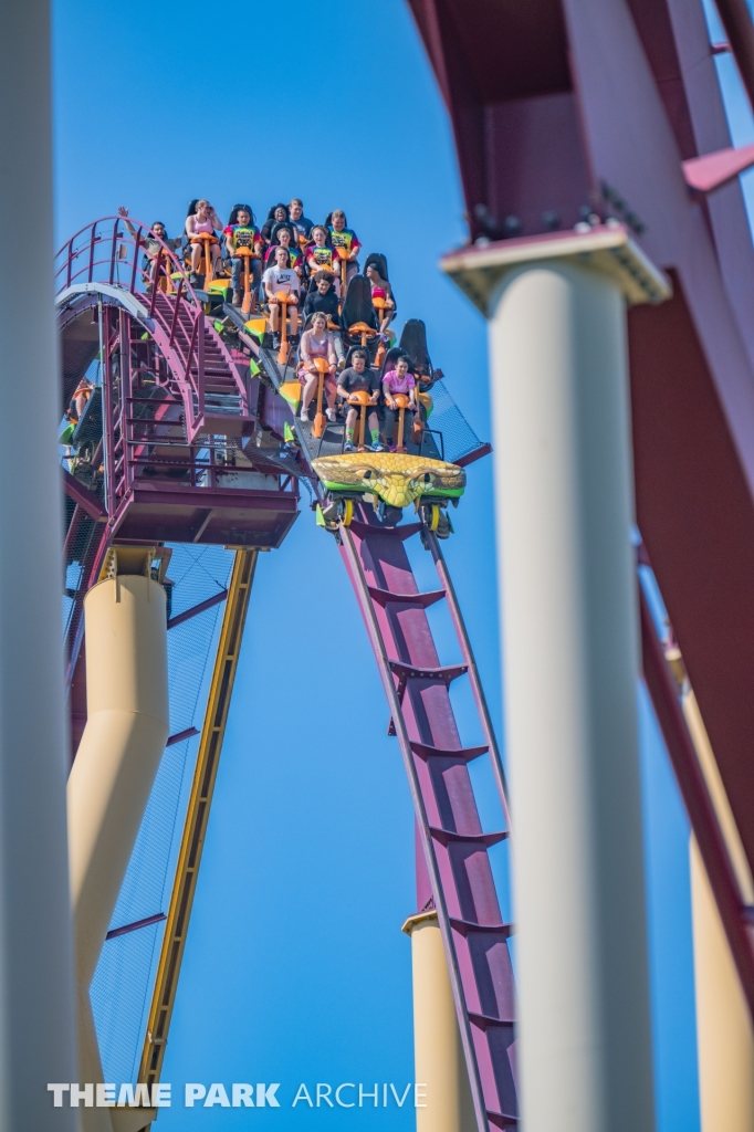 Diamondback at Kings Island