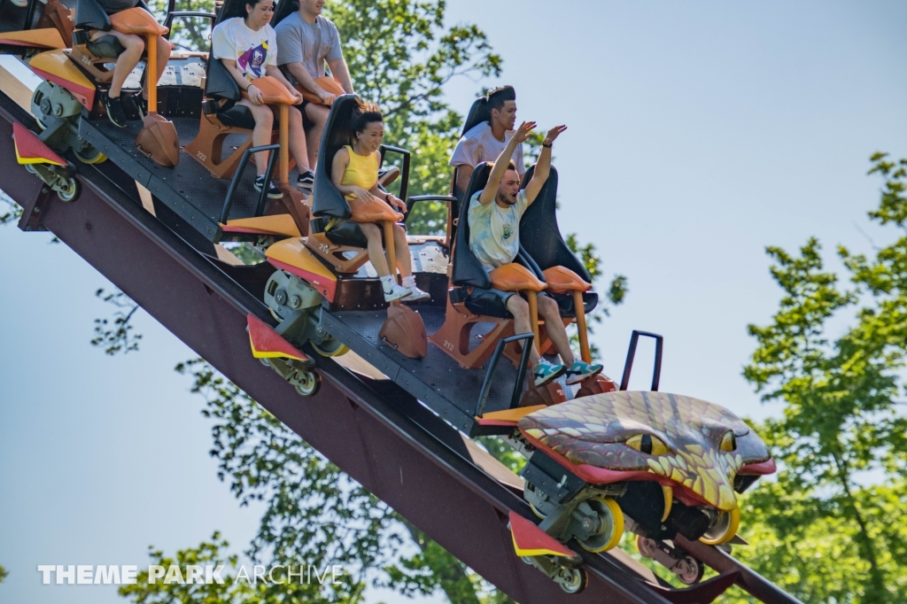 Diamondback at Kings Island