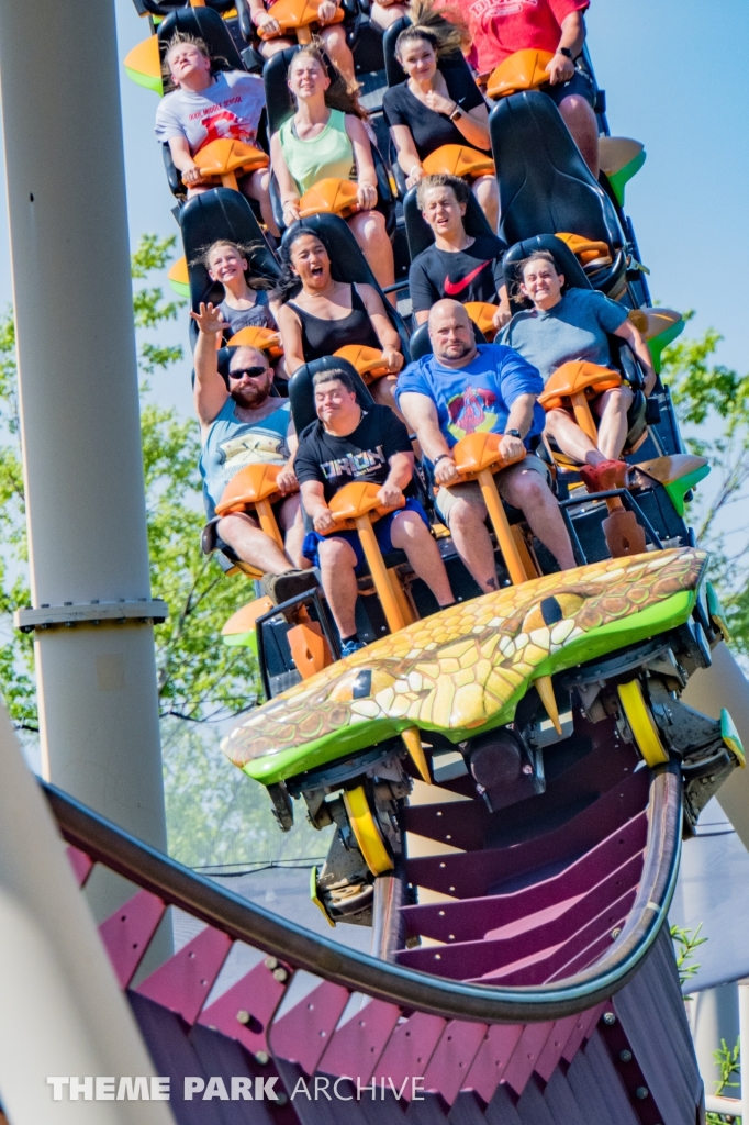 Diamondback at Kings Island