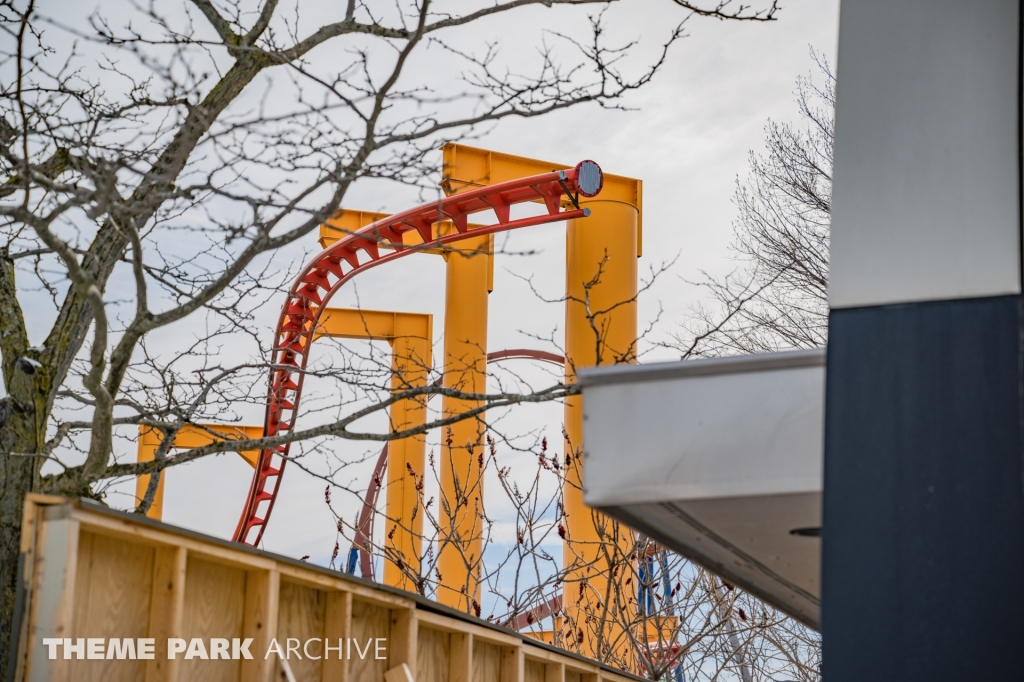 Iron Dragon at Cedar Point