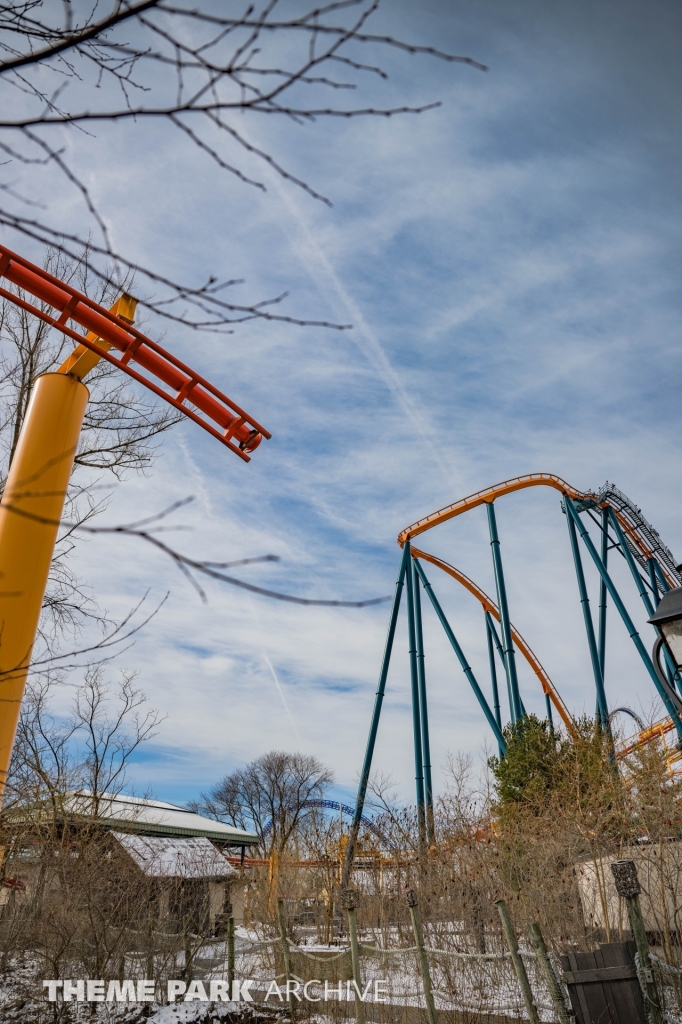 Iron Dragon at Cedar Point