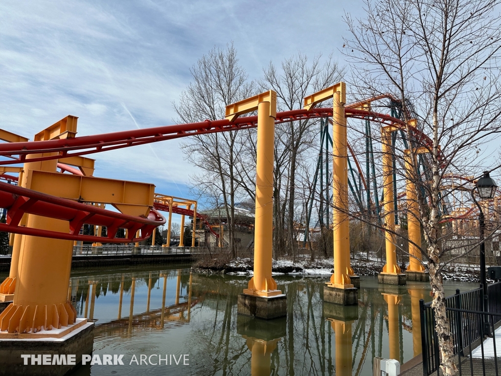 Iron Dragon at Cedar Point