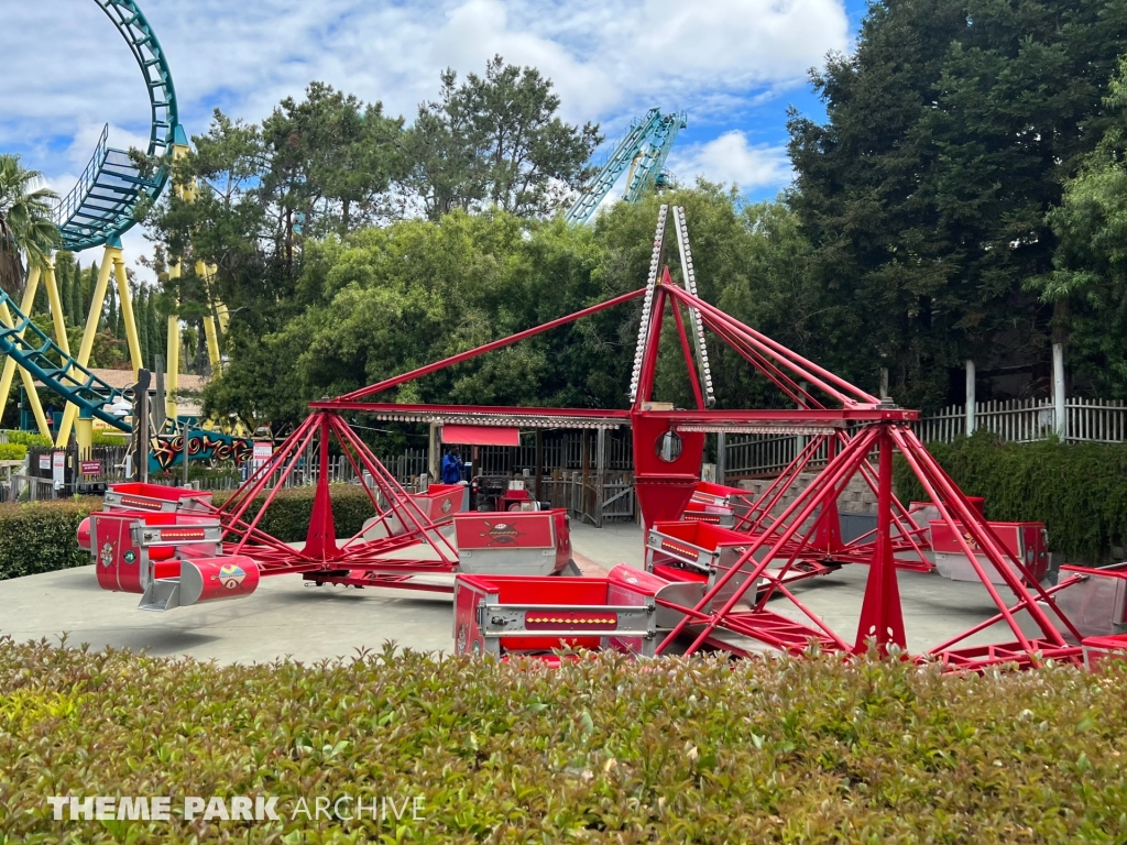 Scat A Bout at Six Flags Discovery Kingdom